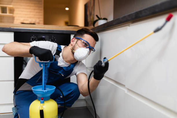 Best Residential Pest Control  in Lexington Park, MD