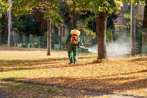 Best Pest Removal Services  in Lexington Park, MD