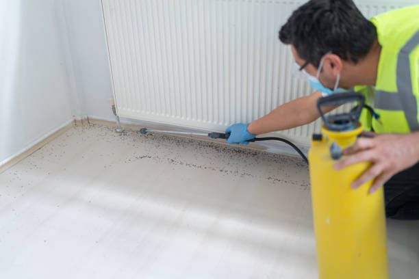 Best Local Pest Control Services  in Lexington Park, MD