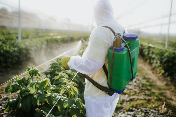  Lexington Park, MD Pest Control Pros